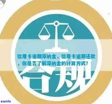 逾期账单还款策略：如何避免信用卡滞纳金和影响信用评分