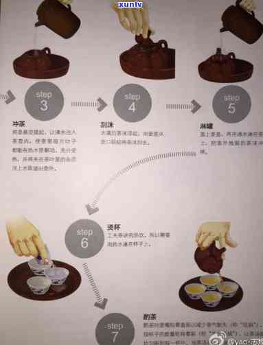 探究九百年茶业的发展历程、品种特性与品饮技巧：一个全面指南