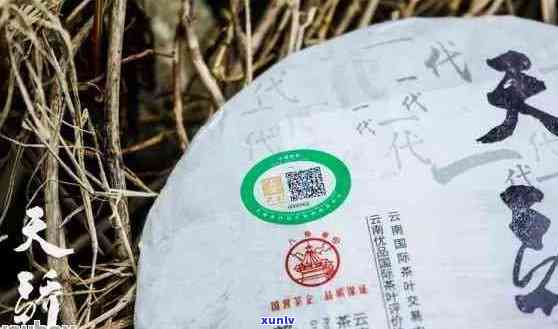 布朗山普洱茶2020年价格与口感分析：一斤多少钱？