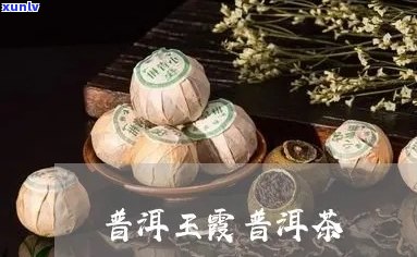 普洱茶王霞个人资料