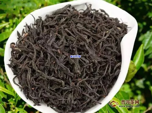 小种红茶是属于什么茶类型