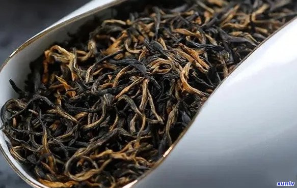 小种红茶是属于什么茶类型