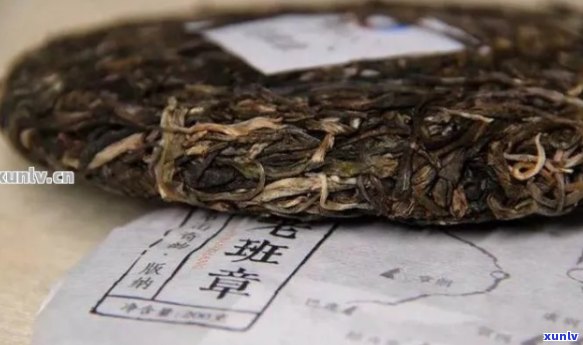 普洱茶饼外表起毛？如何处理和保养，以保持其品质和风味