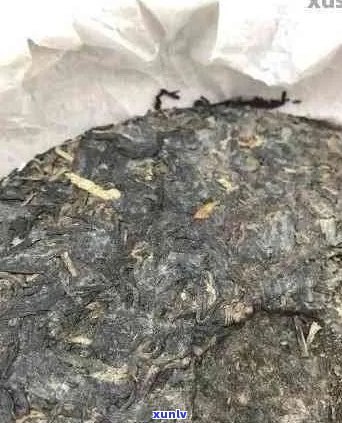 探究普洱茶饼上黄色斑点的奥秘：是氧化还是霉菌？