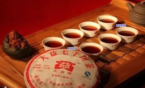 大益传世茶品：品质、历、功效、泡法全方位解析