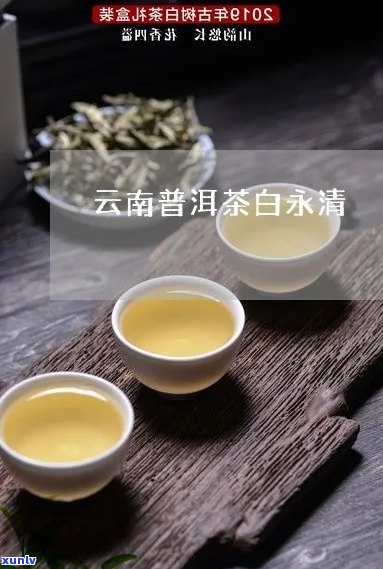 白水清普洱茶旗舰店