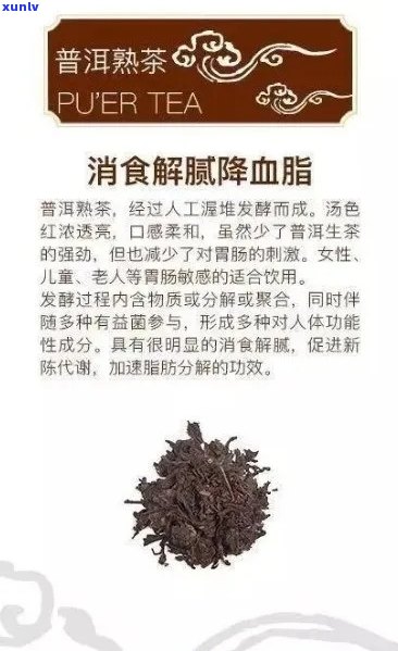 普洱茶与肿瘤：科学研究与潜在益处的全面探讨