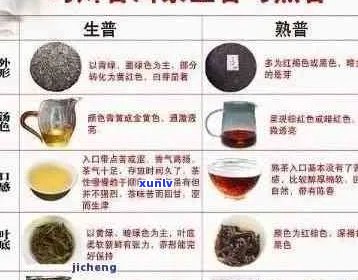 普洱茶的健益处与潜在疾病风险：一项全面的科学研究解析