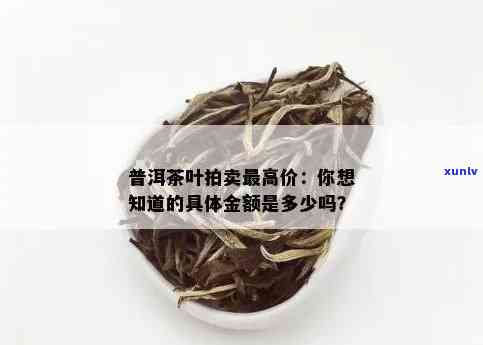 普洱茶询价什么意思啊？如何询问普洱茶价格？