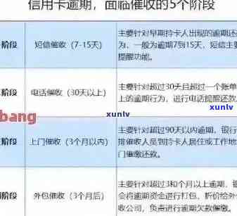 信用卡逾期还款费用解析：如何避免额外费用和信用损失？