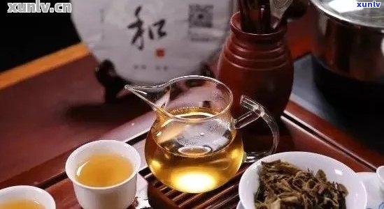 普洱茶：胃气的调节良方还是潜在隐患？