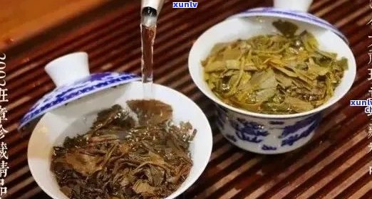 中茶号级普洱茶：品质、 *** 工艺、冲泡 *** 与收藏价值详解