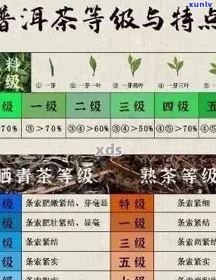 深入了解普洱茶与滇青的区别：原料、 *** 工艺及品饮体验的比较分析