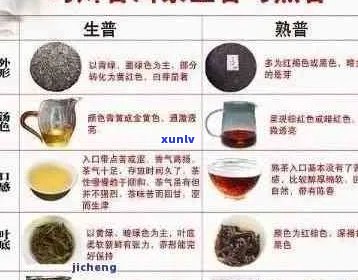 全面解析：假普洱熟茶对人体的潜在危害及如何识别真假普洱茶