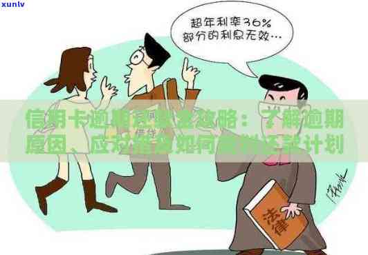 信用卡逾期还款更高限额：如何规划还款策略以避免逾期？