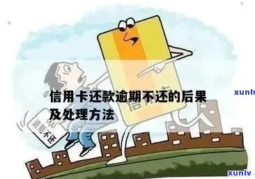 信用卡逾期还款策略：如何避免损失并利用闲置资金