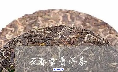 云春堂普洱茶饼价格查询官方信息