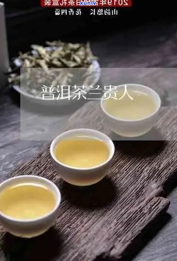 云南普洱茶：兰贵人的独特韵味与珍藏价值