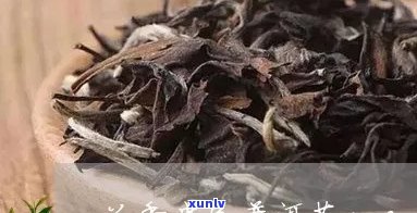 兰香普洱茶兰香贵气价格，2006年普洱茶兰香的特点与优势解析