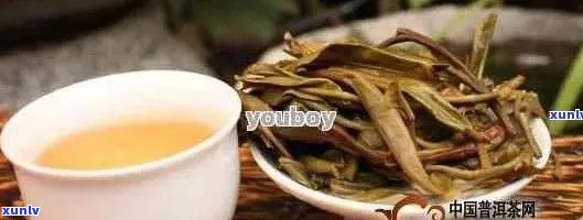 普洱茶老桩料详解：其特点与品质