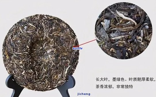 探索普洱生茶饼：一款源于云南的大叶种茶的魅力与分类