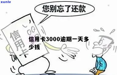 逾期一个月的信用卡3000元费用：详细计算与影响分析