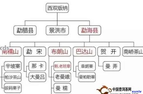 普洱茶条索细长的产地、特点及品质影响因素全解析