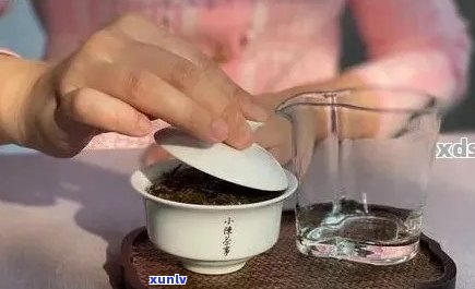 普洱茶的冲泡艺术：如何正确切开与品鉴