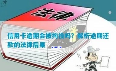 信用卡逾期还款后果：是否会被拘留及其合法性探讨