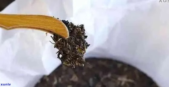 普洱茶的外观特征、 *** 工艺和口感特点是什么？如何辨别普洱茶的品质？