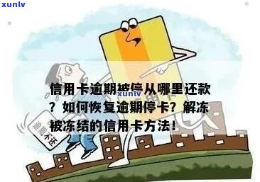 信用卡违约后如何恢复资金？逾期解冻策略全解析