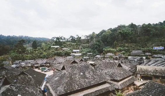 普洱茶寨子排名：全方位指南助您轻松挑选普洱茶寨子