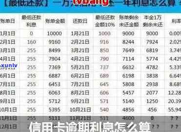 逾期一个月信用卡利息计算：1000元的费用是多少？