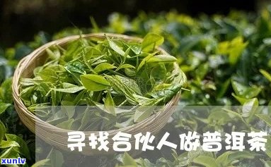 寻找合伙人共同开展普洱茶生意的可行性和建议