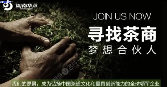 寻找合伙人共同开展普洱茶生意的可行性和建议