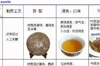 全面解析普洱茶种类：从经典到现代的多款茶品一览