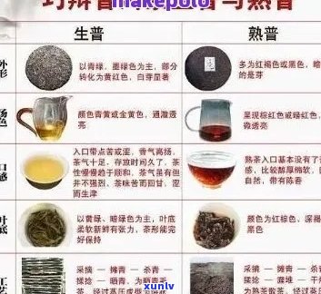 全面解析普洱茶种类：从经典到现代的多款茶品一览