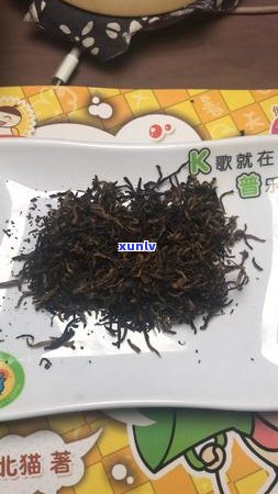 普洱茶冷藏存：方案与注意事项