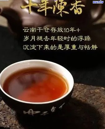 普洱茶打油诗40首大全：与传承的故事