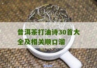 普洱茶打油诗40首