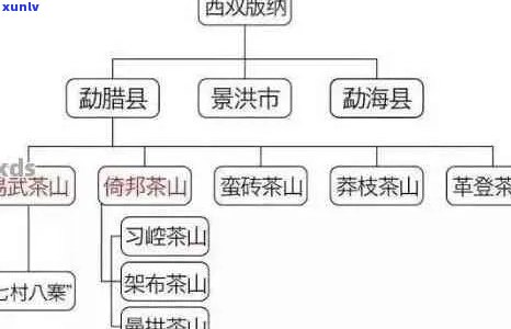 揭秘普洱茶六大茶山：哪座山头孕育了更具特色的茶叶？