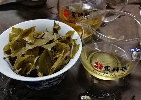 探究中国最古老的普洱茶树：其历、特点及对普洱茶文化的影响