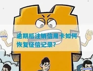 逾期后信用卡被注销恢复及明细查询操作指南