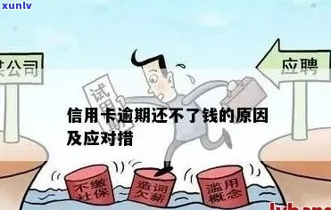 我信用卡逾期还款，应该怎么办？(不加入关键词)