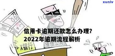 2022年信用卡逾期还款全攻略：处理流程、影响及解决方案