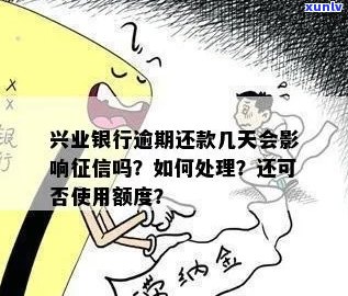 兴业信用卡逾期还款对信用记录的影响及解决 *** 全解析