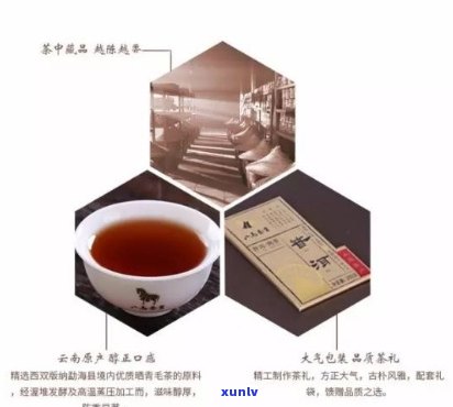 忆江南普洱茶的泡法