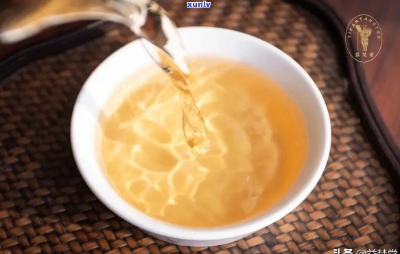 普洱茶：生茶与熟茶的口感比较，哪个更适合您的口味？