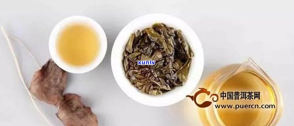 广州人爱喝普洱茶吗？为什么广东人也喜欢普洱茶？