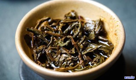 广州人独特的饮茶文化：揭秘为什么广州人爱普洱茶